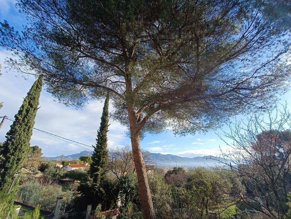 Maison AUBAGNE (13400) LP IMMOBILIER