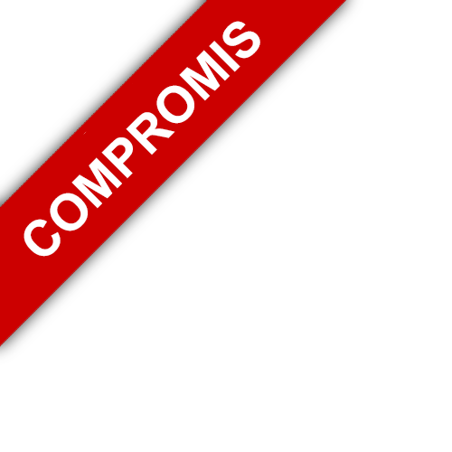 bandeau LP IMMOBILIER