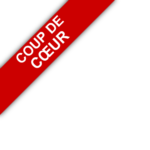 bandeau LP IMMOBILIER
