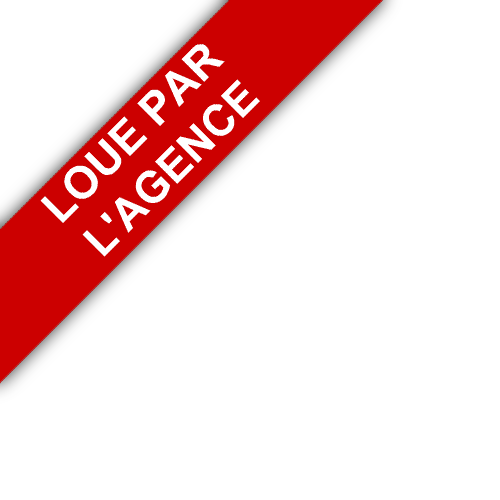 bandeau LP IMMOBILIER